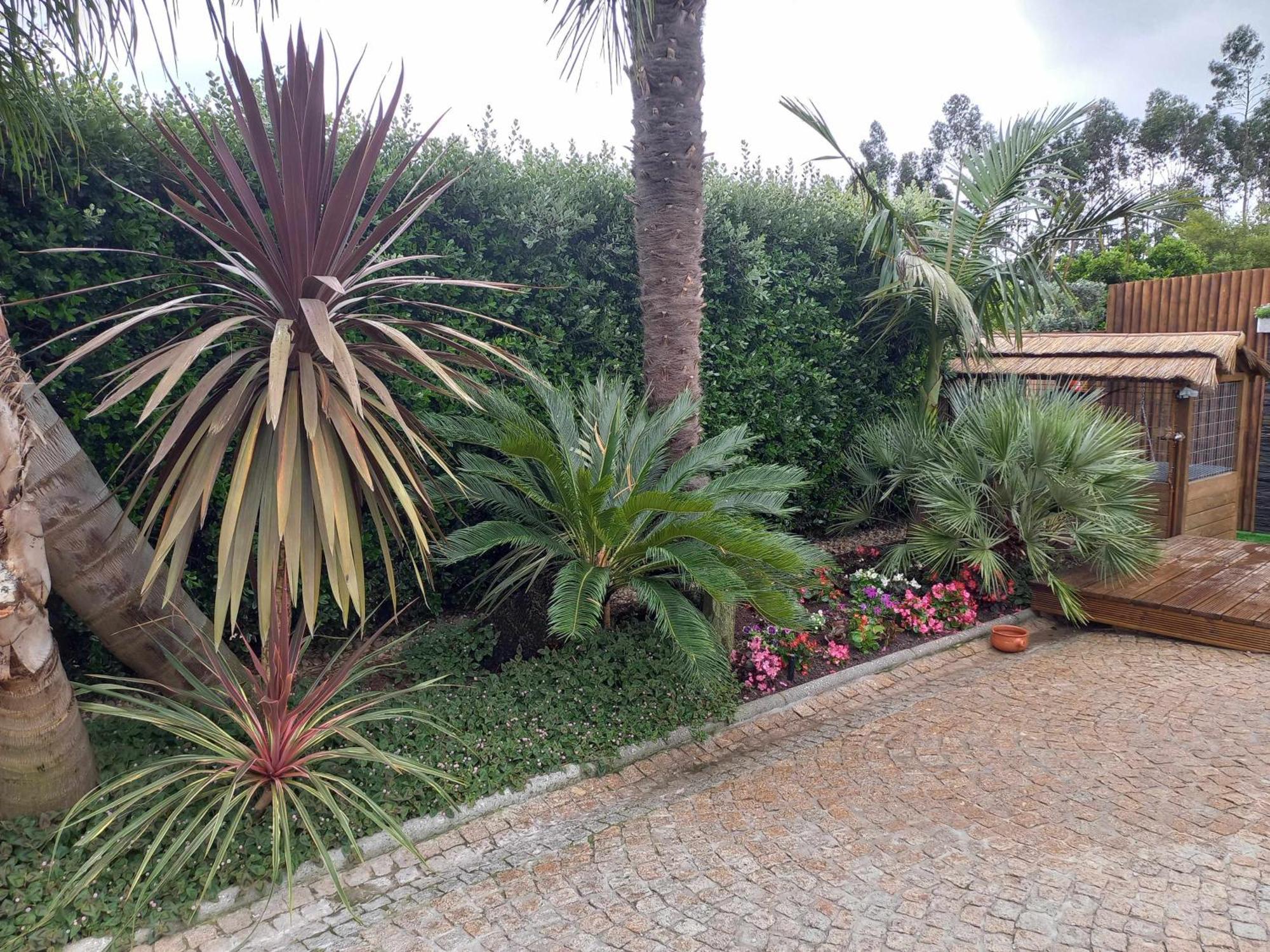 Currais O Pequeno Paraiso Entre O Mar E A Serra Aveiro Extérieur photo
