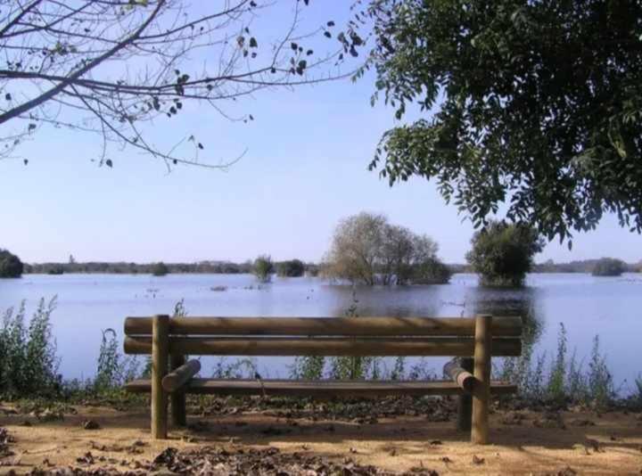 Currais O Pequeno Paraiso Entre O Mar E A Serra Aveiro Extérieur photo